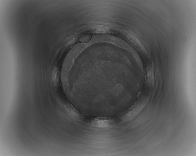 X0000115120228200911241353