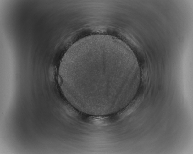 X0000115120229200911241353