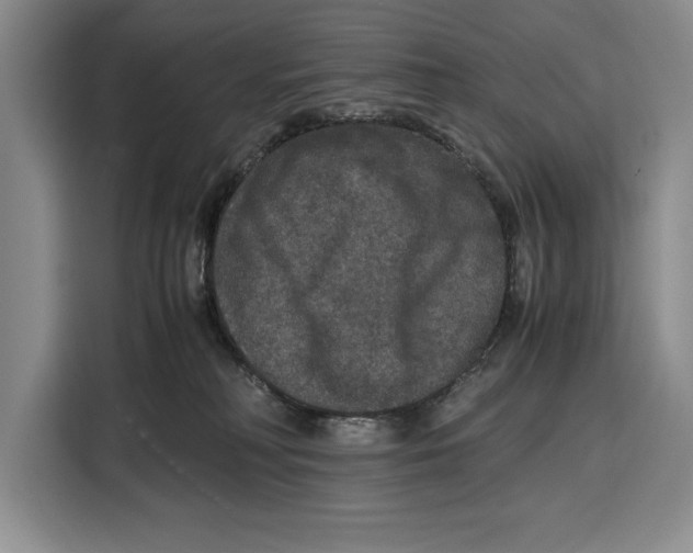 X0000115120230200911241353