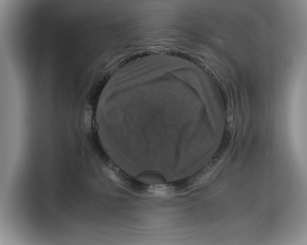 X0000115120231200911241353