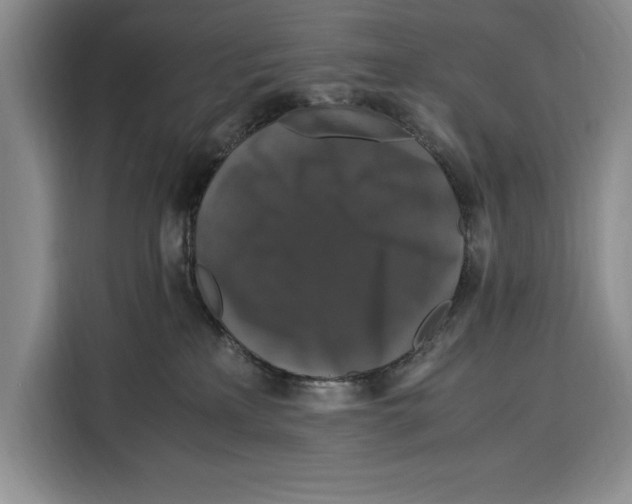 X0000115120233200911241353