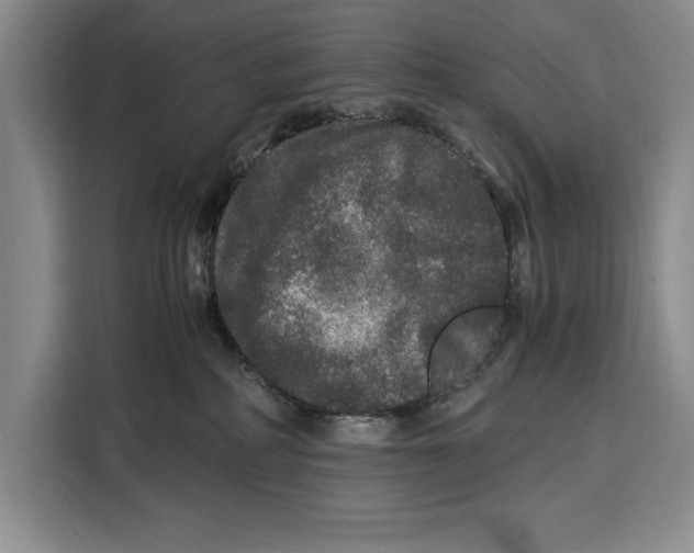 X0000115120234200911241353