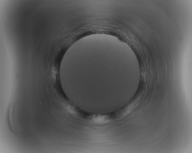 X0000115120235200911241353