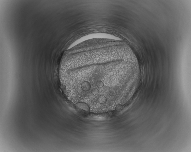 X0000115120236200911241353