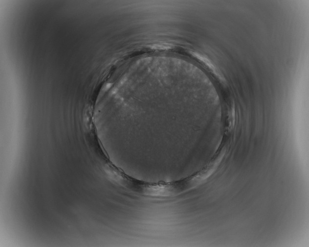 X0000115120237200911241353