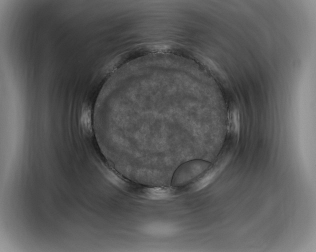 X0000115120238200911241353