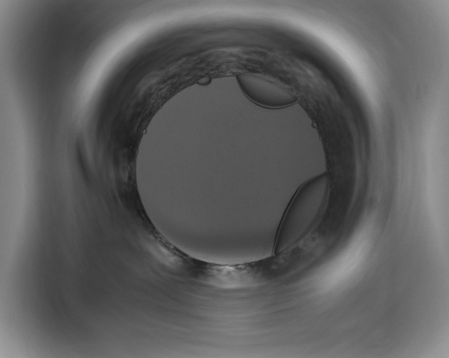 X0000115120239200911241353