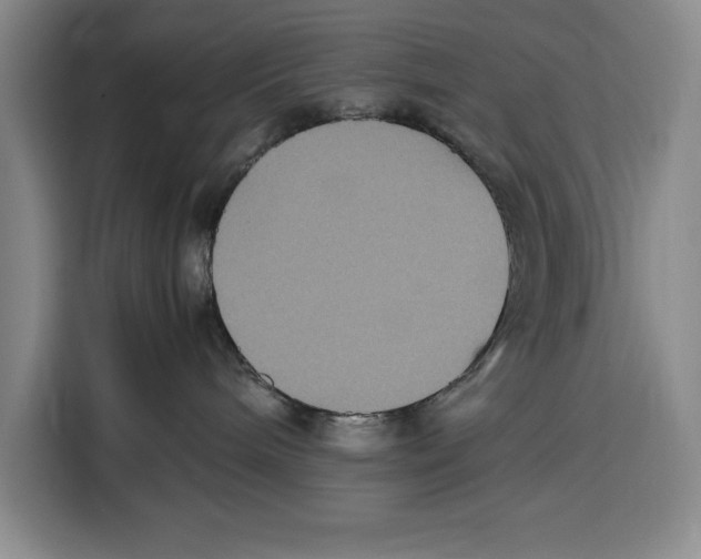 X0000115120240200911241353