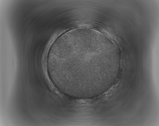 X0000115120241200911241353