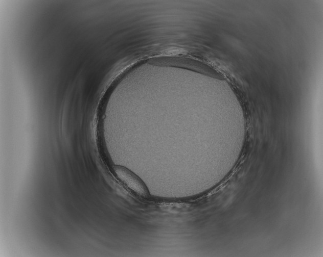 X0000115120242200911241353