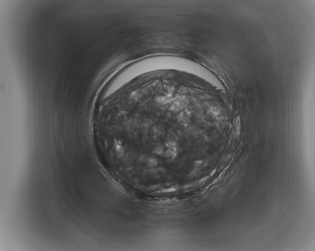 X0000115120243200911241353