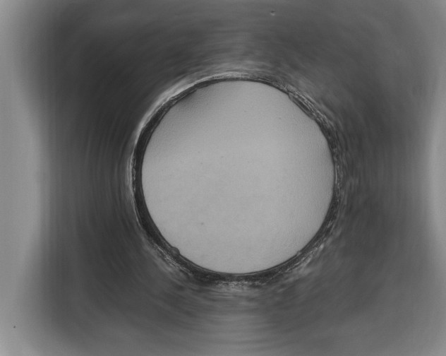 X0000115120244200911241353