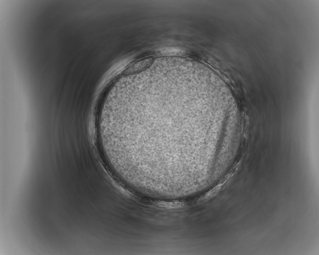 X0000115120245200911241353