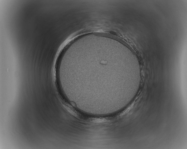 X0000115120246200911241353