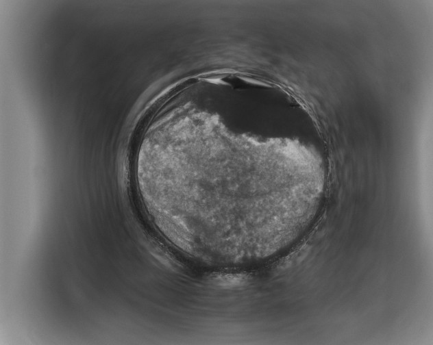 X0000115120247200911241353