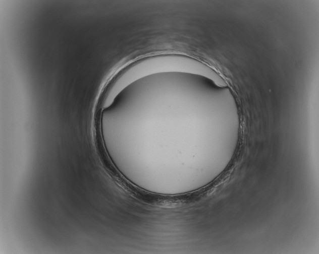 X0000115120248200911241353