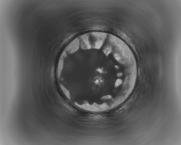 X0000115120249200911241353