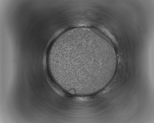 X0000115120250200911241353