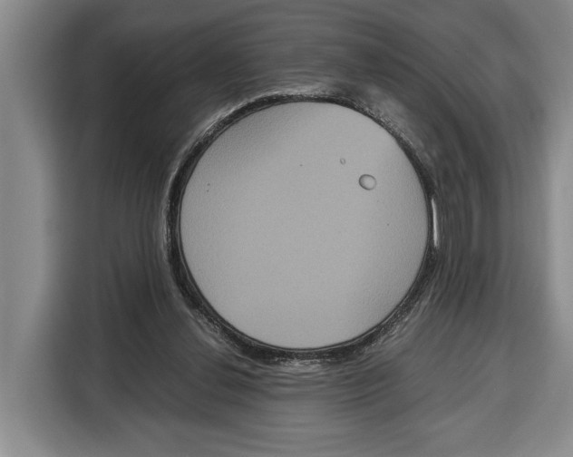 X0000115120252200911241353