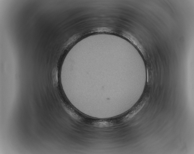 X0000115120253200911241353