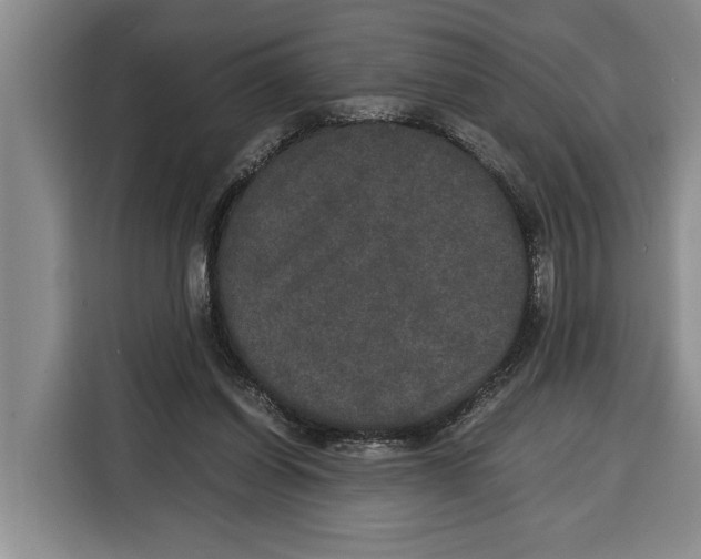 X0000115120254200911241353