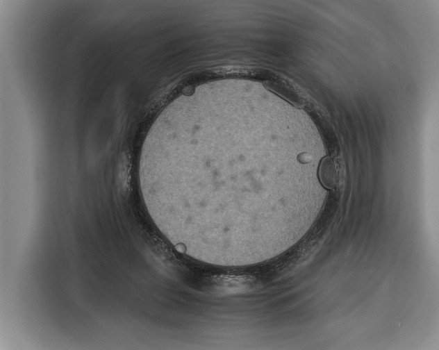 X0000115120255200911241353