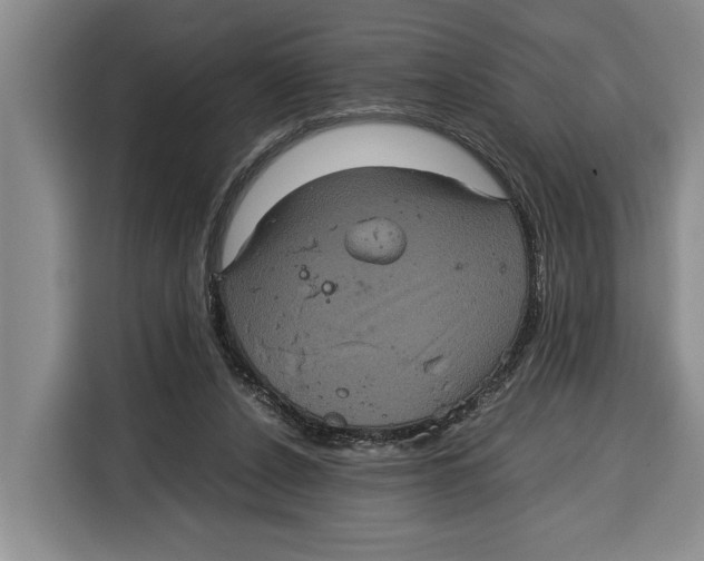 X0000115120256200911241353