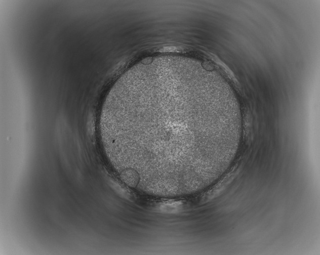 X0000115120257200911241353