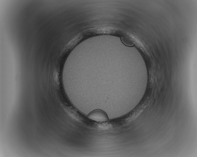 X0000115120258200911241353