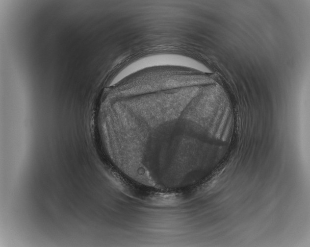 X0000115120260200911241353