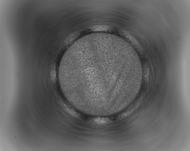 X0000115120261200911241353