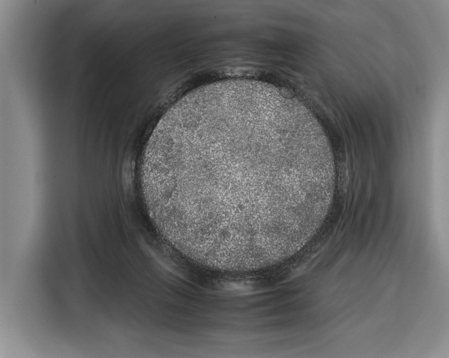 X0000115120263200911241353