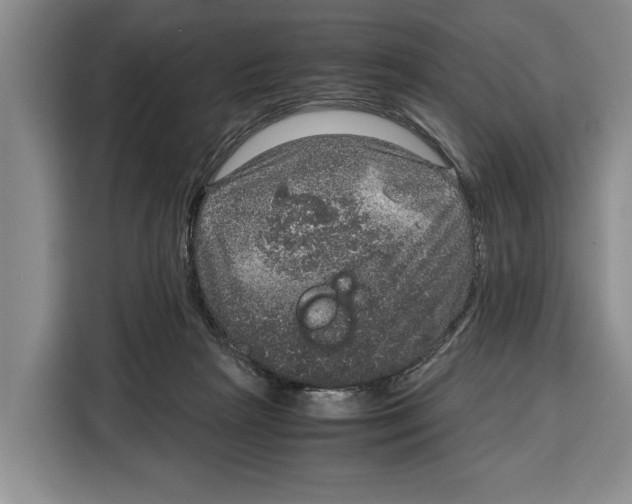 X0000115120265200911241353