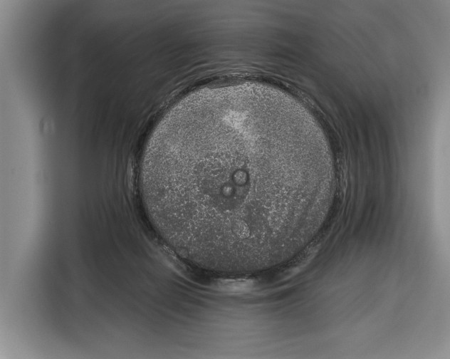 X0000115120266200911241353