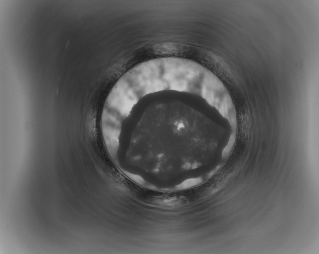 X0000115120267200911241353