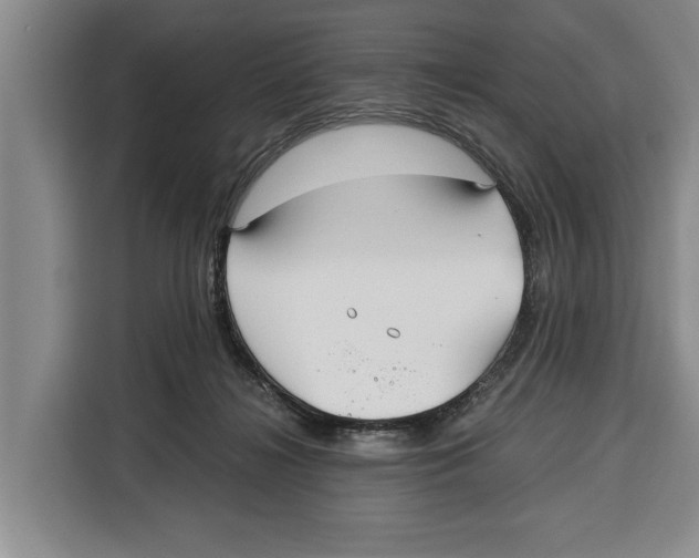 X0000115120268200911241353