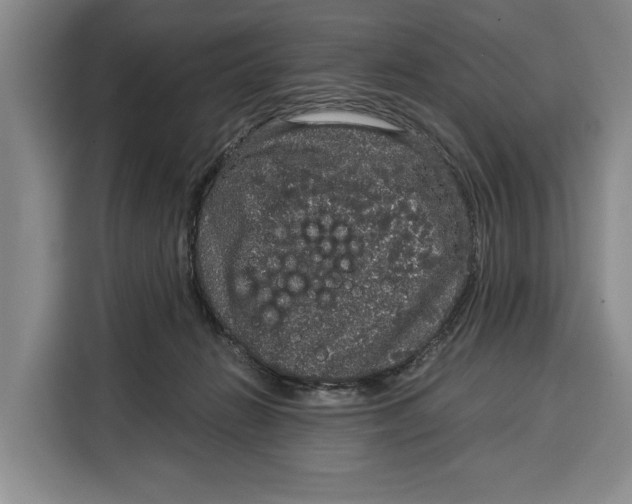 X0000115120270200911241353