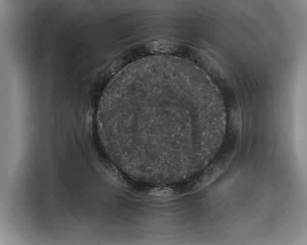 X0000115120271200911241353