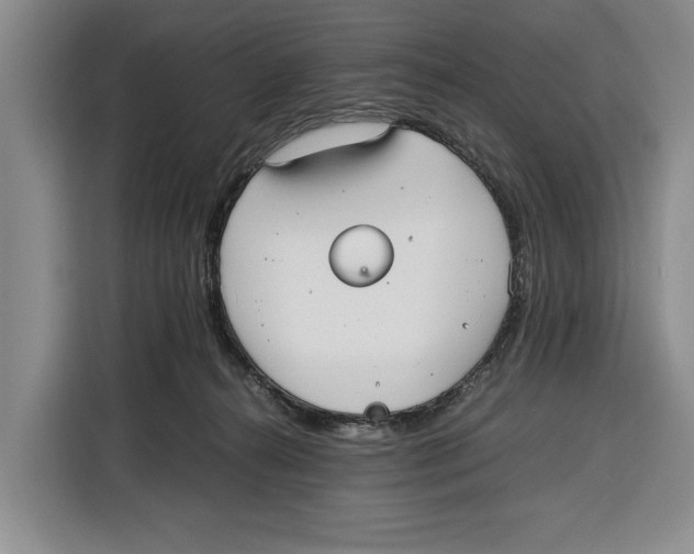 X0000115120272200911241353