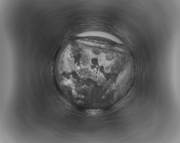 X0000115120273200911241353