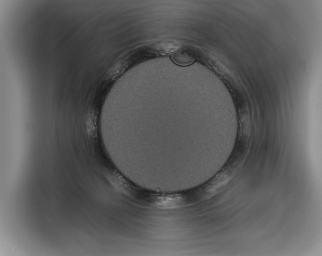 X0000115120274200911241353