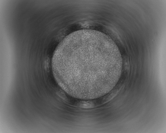 X0000115120275200911241353