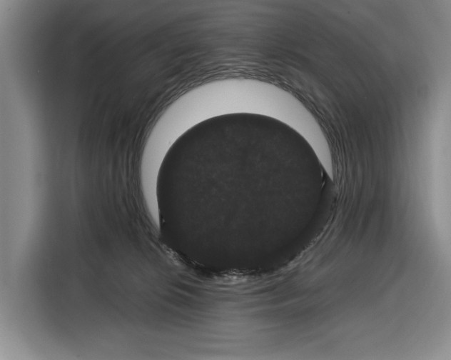 X0000115120276200911241353