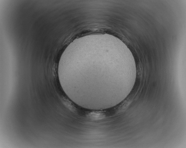 X0000115120280200911241353