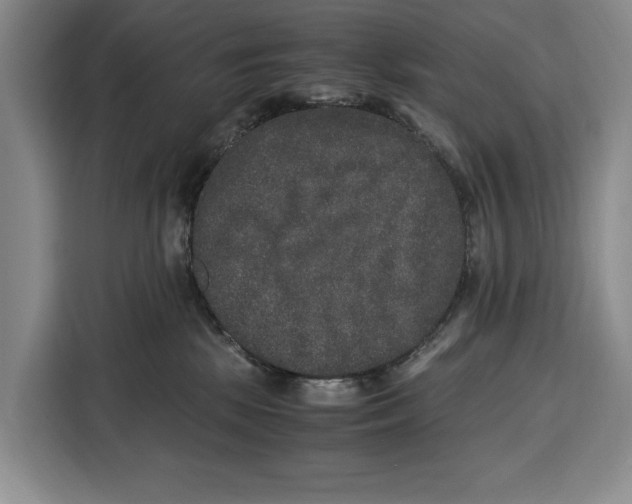 X0000115120281200911241353