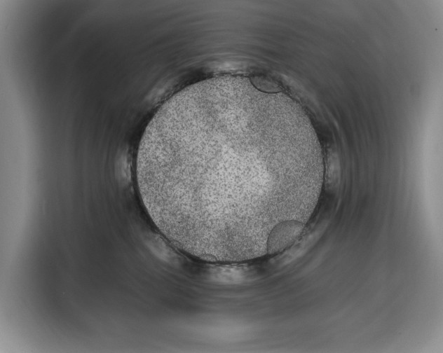 X0000115120282200911241353