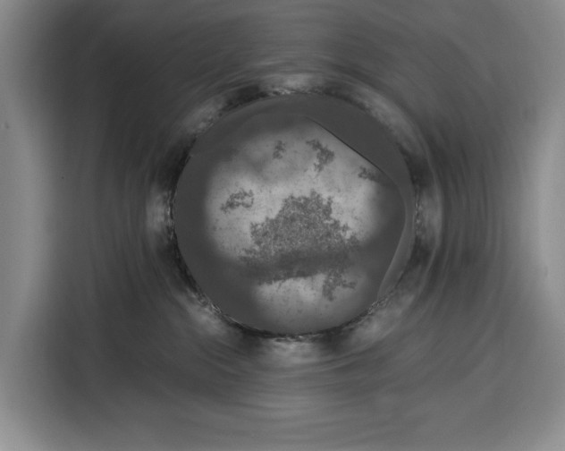 X0000115120284200911241353