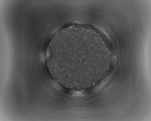 X0000115120285200911241353