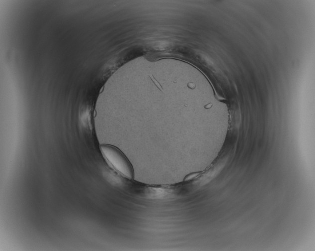 X0000115120286200911241353