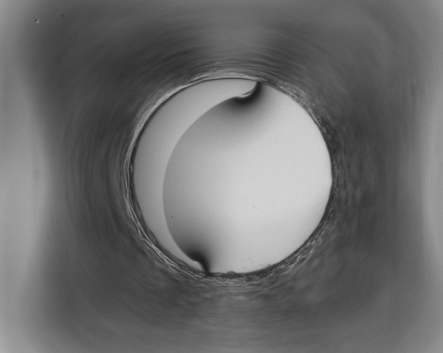 X0000115120289200911241353